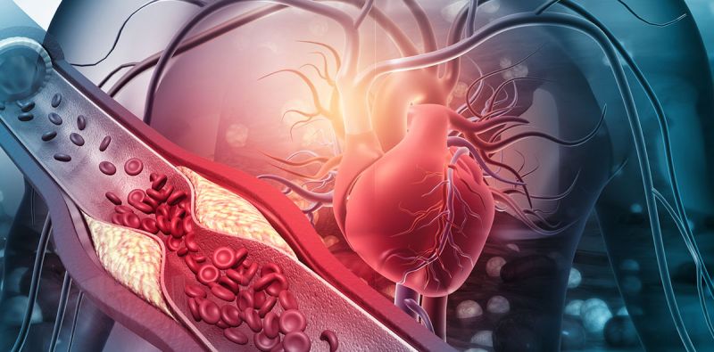 The Vascular Care Group